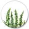 Designart - Fern Leaves Detail II - Farmhouse Metal Circle Wall Art